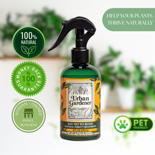 Natural Insect Treatment for Houseplants - Say No To Bugs