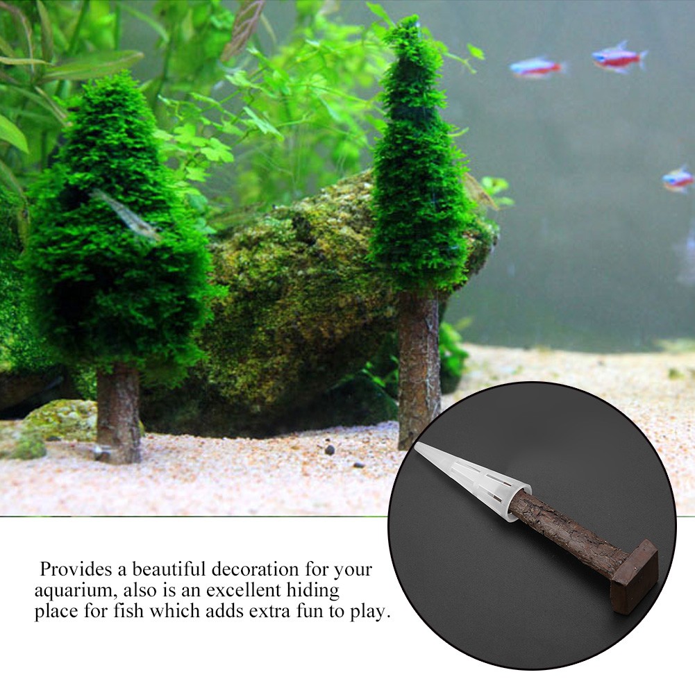 Moss Christmas Tree Plant Aquatic Grass Water Plant For Aquarium Fish Tank Decor