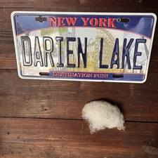 DARIEN LAKE New York  Fake Vanity License Plate for the front of the vehicle