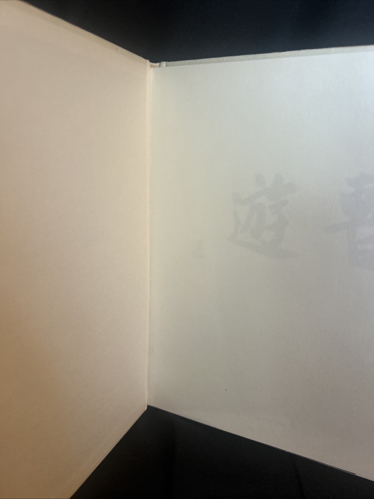 Yamazaki Teryuki / Zan-yuu-soh 1st Edition 1990 HC