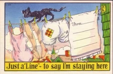 ASHVILLE POSTCARD CO." JUST A LINE - " CARD IS IN NEAR MINT CONDITION