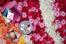 3D Pink Red Rose 160NA Floor WallPaper Murals Wall Print 5D AJ WALLPAPER AU Fay