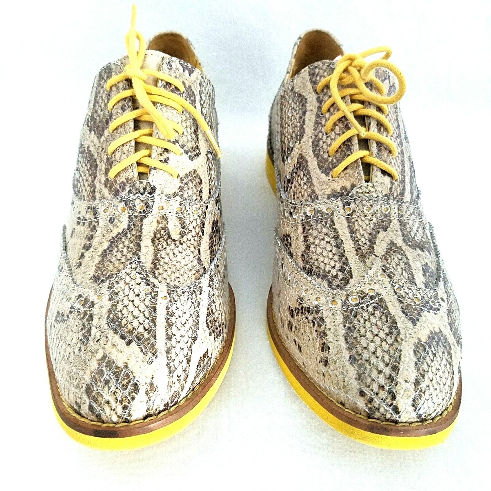 SAOLA Oxford a coda di rondine COLE HAAN marrone serpente suola gialla donna US 8 B EU 38 5 $180 *
