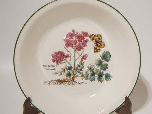 CERAMICA ENOCH WEDGWOOD VINTAGE SERVIZIO 18 PIATTI SERIE BOTANICA FLORABUNDA - Imagen 7 de 13
