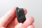 Mexico Velvet Obsidian Lapidary 1.5 oz. windowed three piece rough lot Aj5 — photo 5