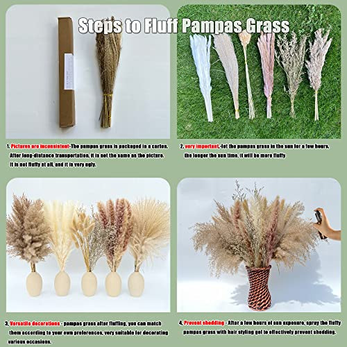 Pcs Pampas Grass Boho Home Decor 17 inch Natural Dried Flowers-Pampas Grass 100 - Picture 3 of 7