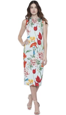 Alice + olivia Delora Floral Print Fitted Midi Dress Blue Size 2 NWT