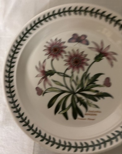 Portmeirion Botanic Garden 8.5" Salad Side Plate Treasure Flower/GAZANIA RINGENS - Picture 10 of 16