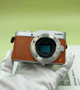 パナソニック LUMIX GF9 Panasonic LUMIX DC-GF9 Digital Mirrorless Camera no lens | eBay
