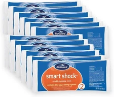 BioGuard Smart Shock 1 lb - 12 pk FREE SHIPPING