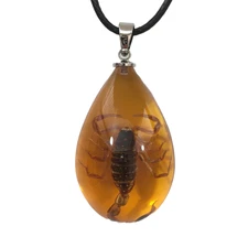 Real Scorpion Necklace Taxidermy Pendant Bug Insect Cool Kids Gift