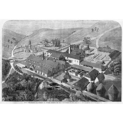 WILTSHIRE Farm Buildings and Workshops at LONGLEAT - Antique Print 1859