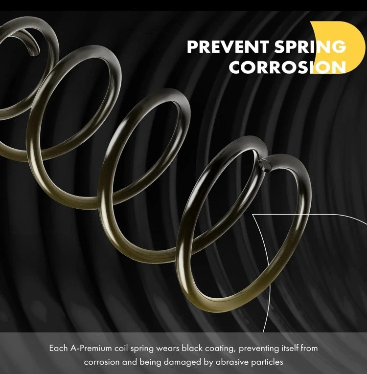 2pcs Coil Spring Set Rear for Honda Pilot 2003-2008 Acura MDX 2003-2006 V6 3.5L Foto 3 de 4