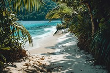 Tropical Beach Seascape Canvas Picture Print Wall Art