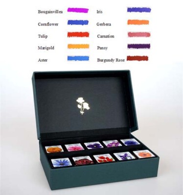Diamine Flower Ink Bottle Gift Set- 10 Fountain Pen Ink Bottles