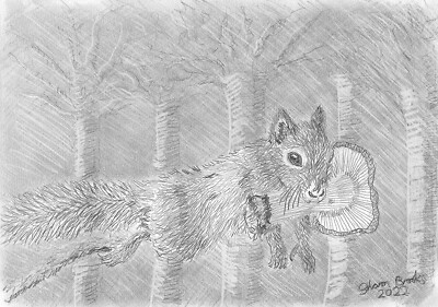 Jumping Squirrel & His Fungi Pencil Sketch by Sharon Louise Brooks