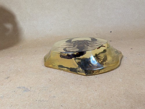 Real Black Scorpion Insect/Clear Abstract Shaped Enclosure Desktop Paperweight - Picture 8 of 13