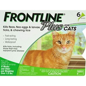 ebay frontline for cats