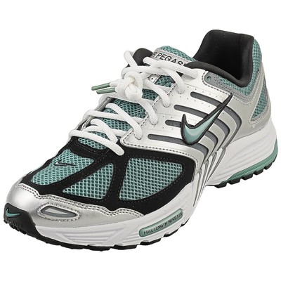 Nike Air Pegasus 2005 Herren in Metallic Silber-Bicoastal