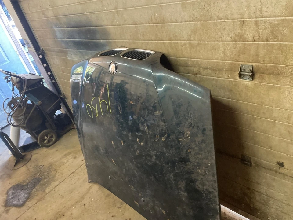 OEM GREEN Hood BMW 528I 97 98 99 00 1997-2000 Foto 2 de 4