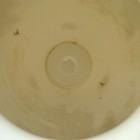 Picture 5 of 7