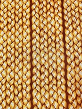 Free Spirit Fibs &Fables Orange Fat Eighth 9x21