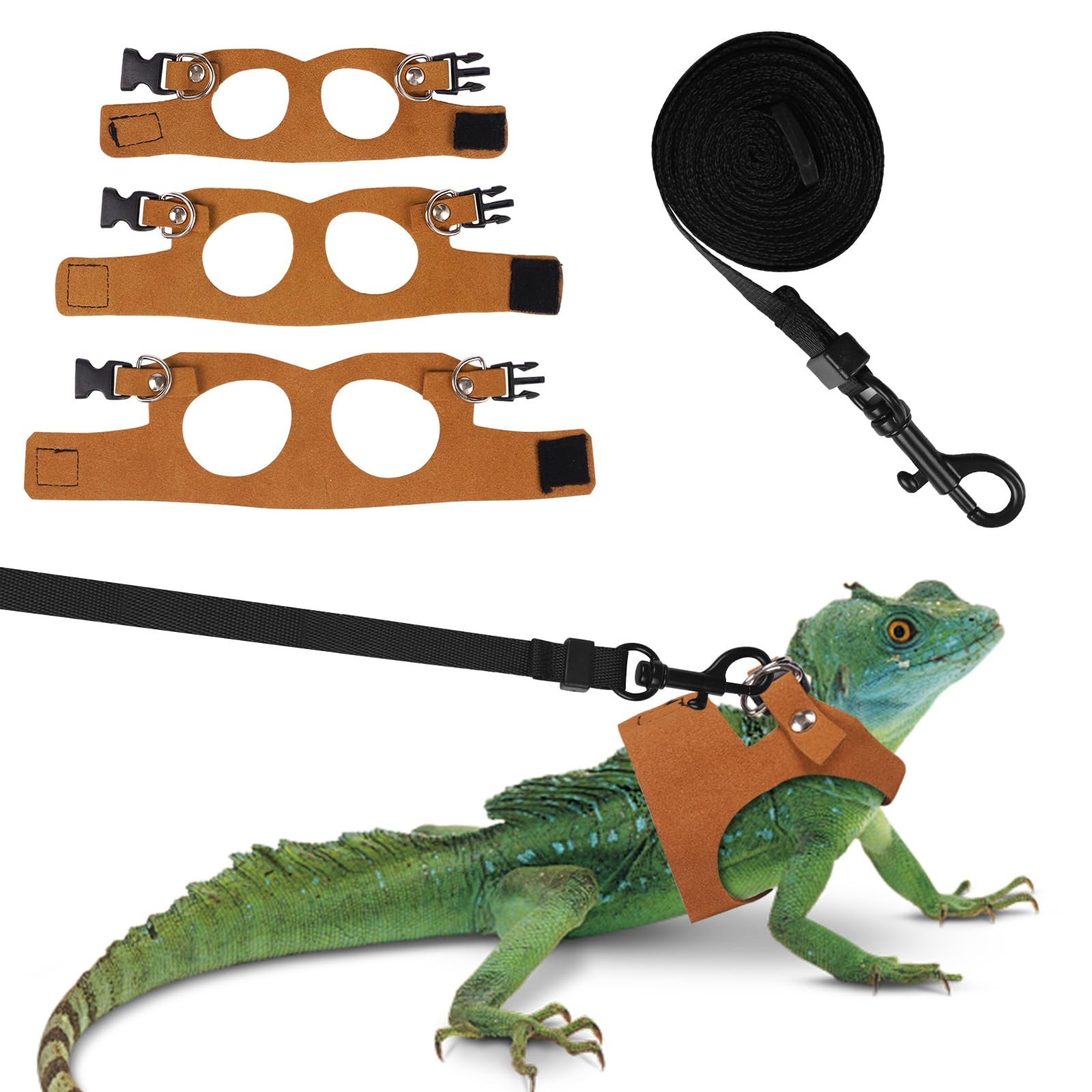 Ensemble harnais et laisse pour dragon barbu en similicuir noir et finitions métalliques