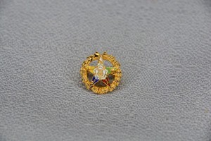 Order Of The Eastern Star Pin - Masonic
