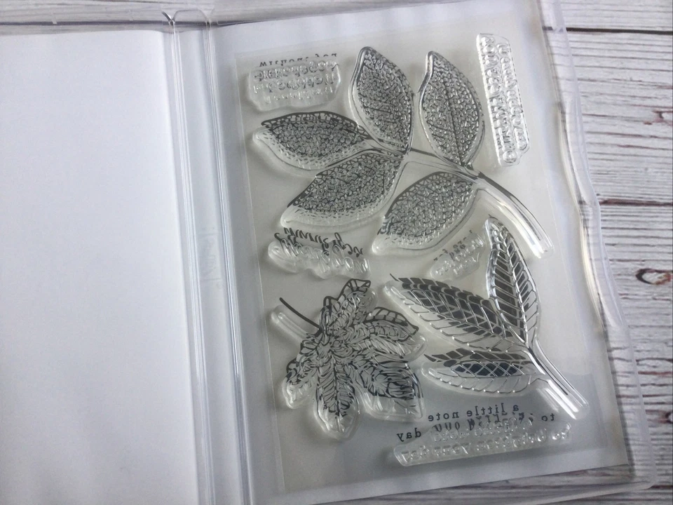 NUEVO Stampin Up! Lote de 2 juegos de estampillas HOJAS CAMBIANTES Y CORAZÓN MÁS CÁLIDO Foto 2 de 3