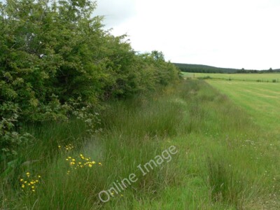 Foto 6x4 Besseres Land bei Conie Glen Pennygown \/NR6914 um 2010