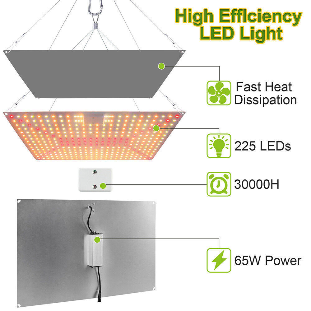 3000W/1000W LED Grow Light Hydroponic Full Spectrum Indoor Veg Flower ...
