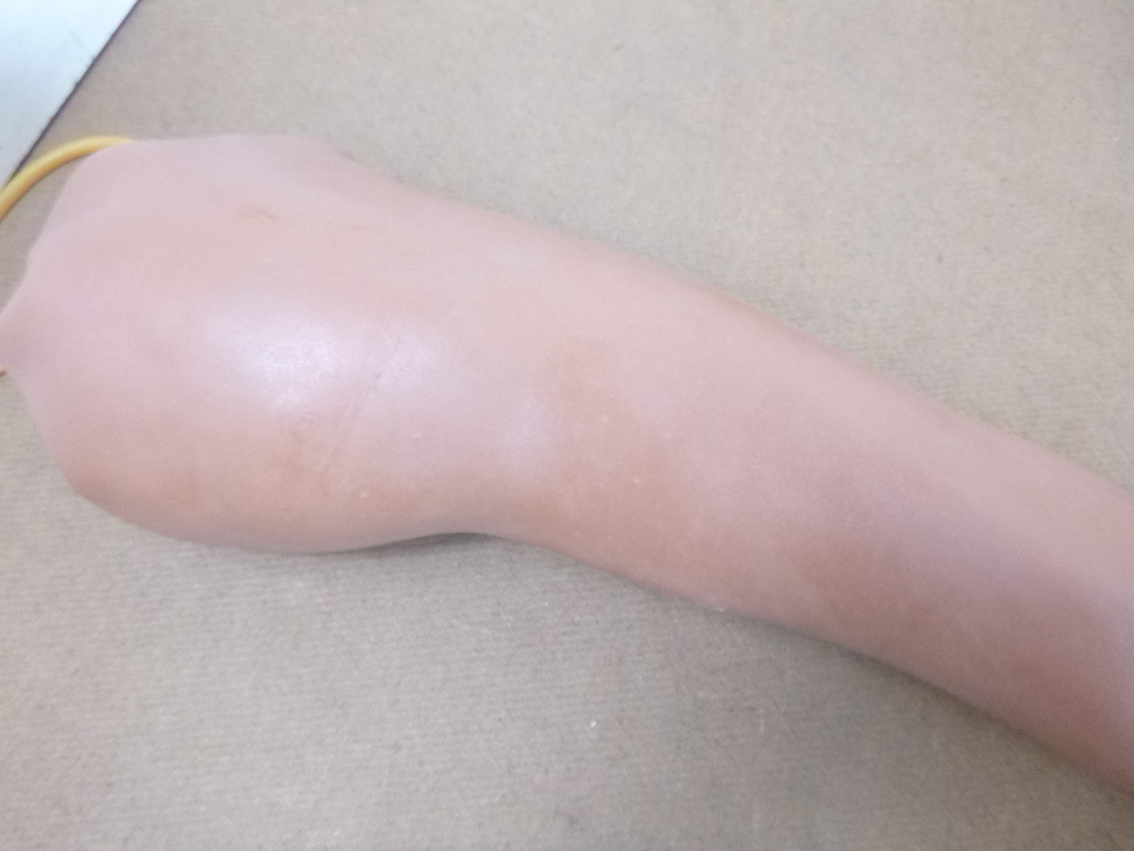 Nasco ?? Life/Form ?? IV Injection Training Arm