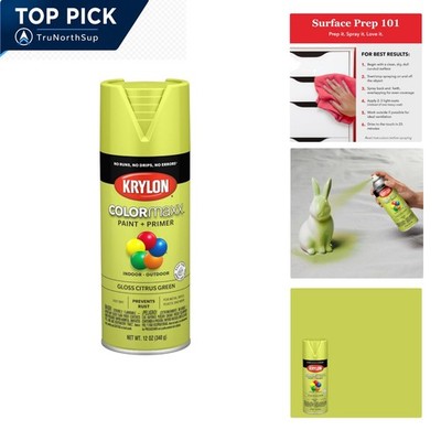 Krylon COLORmaxx Spray Paint Primer Citrus Green Gloss 12oz Indoor Outdoor Ru...