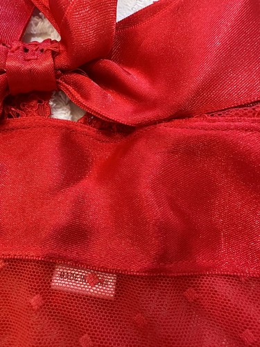 Hanky Panky red Swiss dot mesh halter neck lingerie babydoll size 10 12 14 16 L - Picture 13 of 13