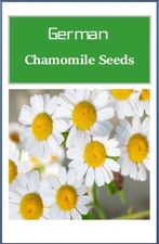 German Chamomile Seeds | NON-GMO | Heirloom | Fresh Garden Seeds