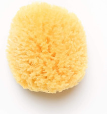 Natural Sea Sponge, 4 to 5 Inches