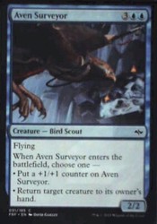 Aven Surveyor 031/185 Fate Reforged