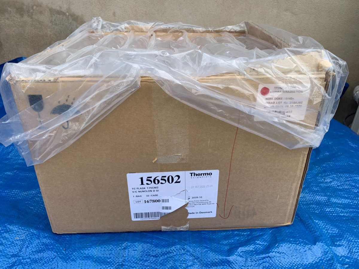 Thermo Scientific Flasks 156502 Nunc Cell Culture Treated w Solid