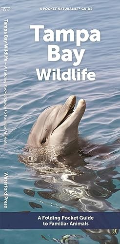 Waterford Press Tampa Bay Wildlife (брошюра) (ИМПОРТ ИЗ Великобритании)