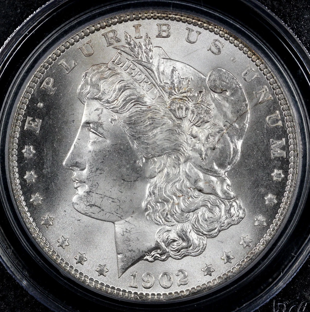 1902 Year Grade MS 65 Morgan Dollars (1878-1921) for sale | eBay