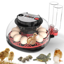 Incubators for Hatching Eggs 12 Egg Incubator,Egg Incubator with Automatic Egg T