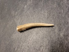 Halskettenanhänger 5cm Geweih Rehbock Halske...