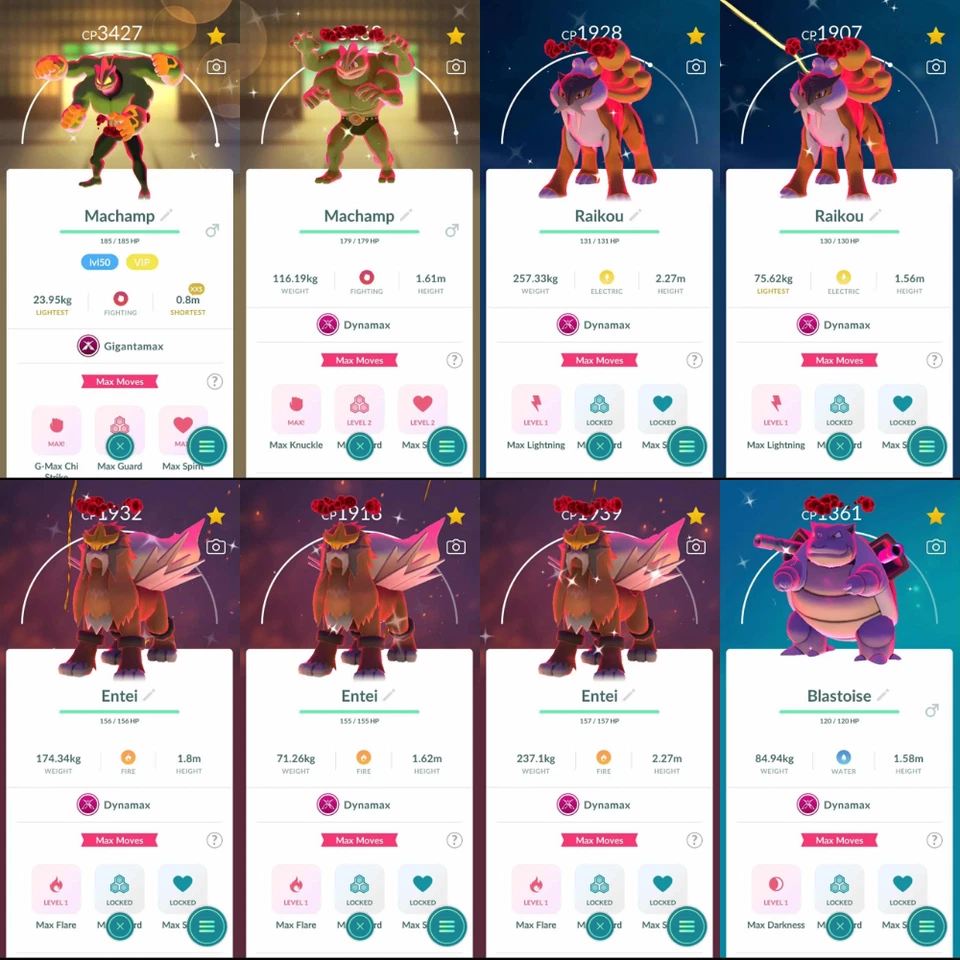 Pokémon Perfect Shadow Apex LVL 70 Go/Shiny Legendary/Rare Pose/Clone/Libre Pika - Image 4 of 4