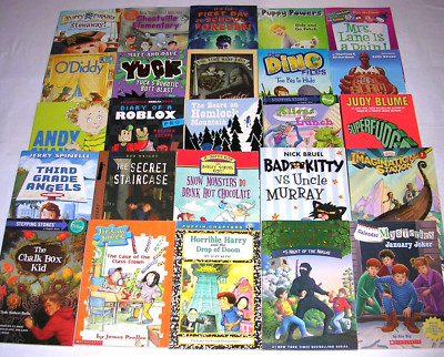 Lot 25 BOYS Reading Level 2 - 3 ACCELERATED READERS 2nd 3rd Grade AR Chapter