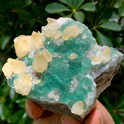 374G Rare transparent GREEN cubic fluorite mineral crystal sample/China - Picture 10 of 14