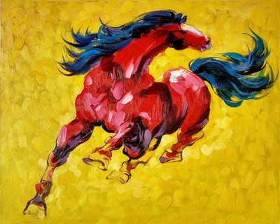 Colorful Horse Graffiti Wall Art Abstract Paintings Modern Artwork Deco 40 x50cm