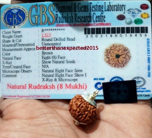 8 Mukhi rudraksha / Eight Face Rudraksh- Java Silver Pendant -Certified 16-18 MM - Picture 2 of 4