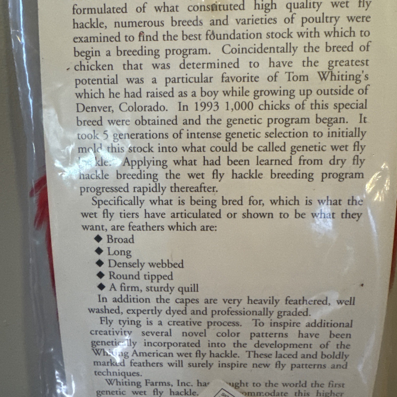 Whiting Hackle American Rooster Whole Cape White dyed Red Feathers  NEW