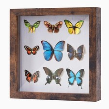 Muzilife 8x8 Shadow Box Picture Frame with Linen Board-Deep Wood  Glass