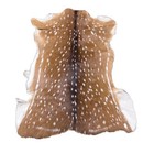 Axis Deer Hide - Rug Grade Chital Deer Hide - Real Axis Deer Skin ...